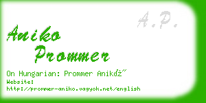 aniko prommer business card